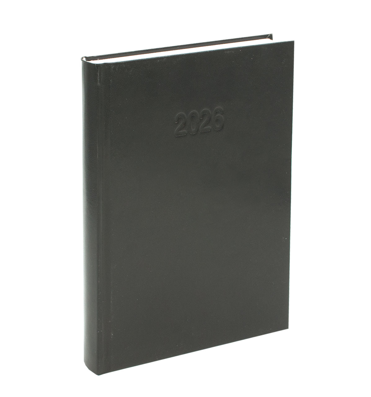 Kalendarz książkowy A5 dzienny info Kreska mix kol.